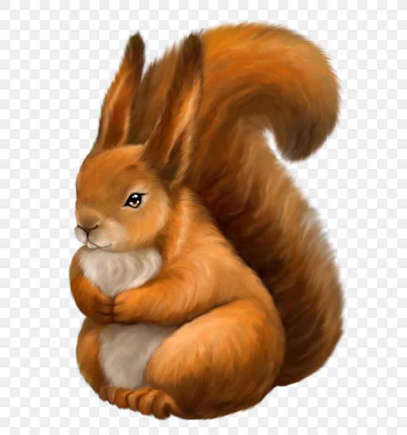 Drawing Tree Squirrels Clip Art, PNG, 650x876px, Drawing, Animaatio, Animal, Domestic Rabbit, Fauna Download Free