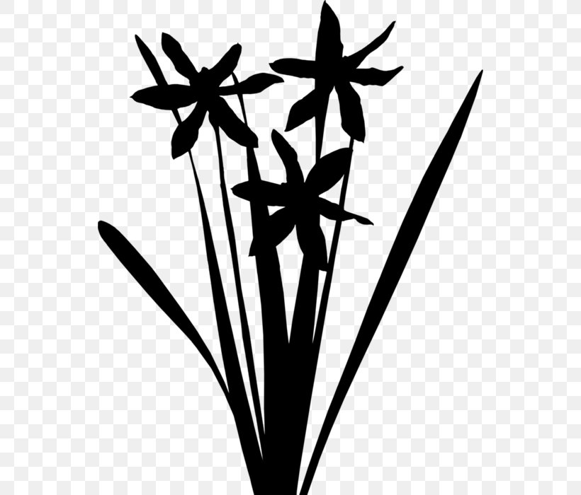 Grasses Clip Art Plant Stem Leaf Flower, PNG, 544x700px, Grasses, Blackandwhite, Flower, Leaf, Plant Stem Download Free