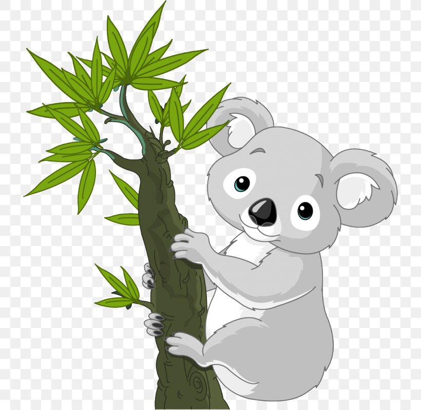 Koala Cuteness Clip Art, PNG, 800x800px, Koala, Bear, Blog, Carnivoran, Cuteness Download Free