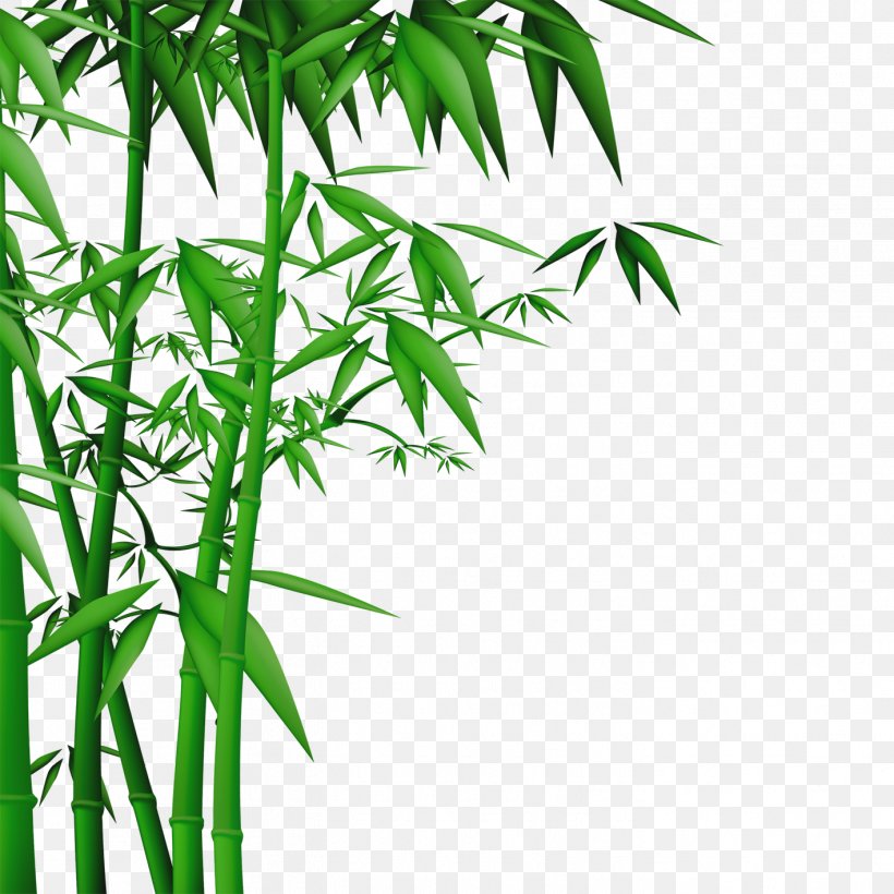 Bamboo Wall Wallpaper, PNG, 1417x1417px, Bamboo, Bambusa Oldhamii, Branch, Grass, Hemp Download Free