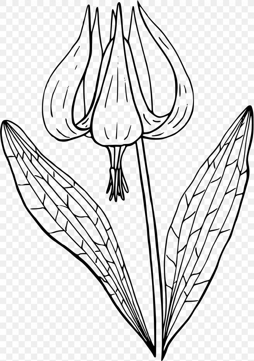 Flower Clip Art, PNG, 1690x2400px, Flower, Art, Artwork, Black And White, Coloring Book Download Free