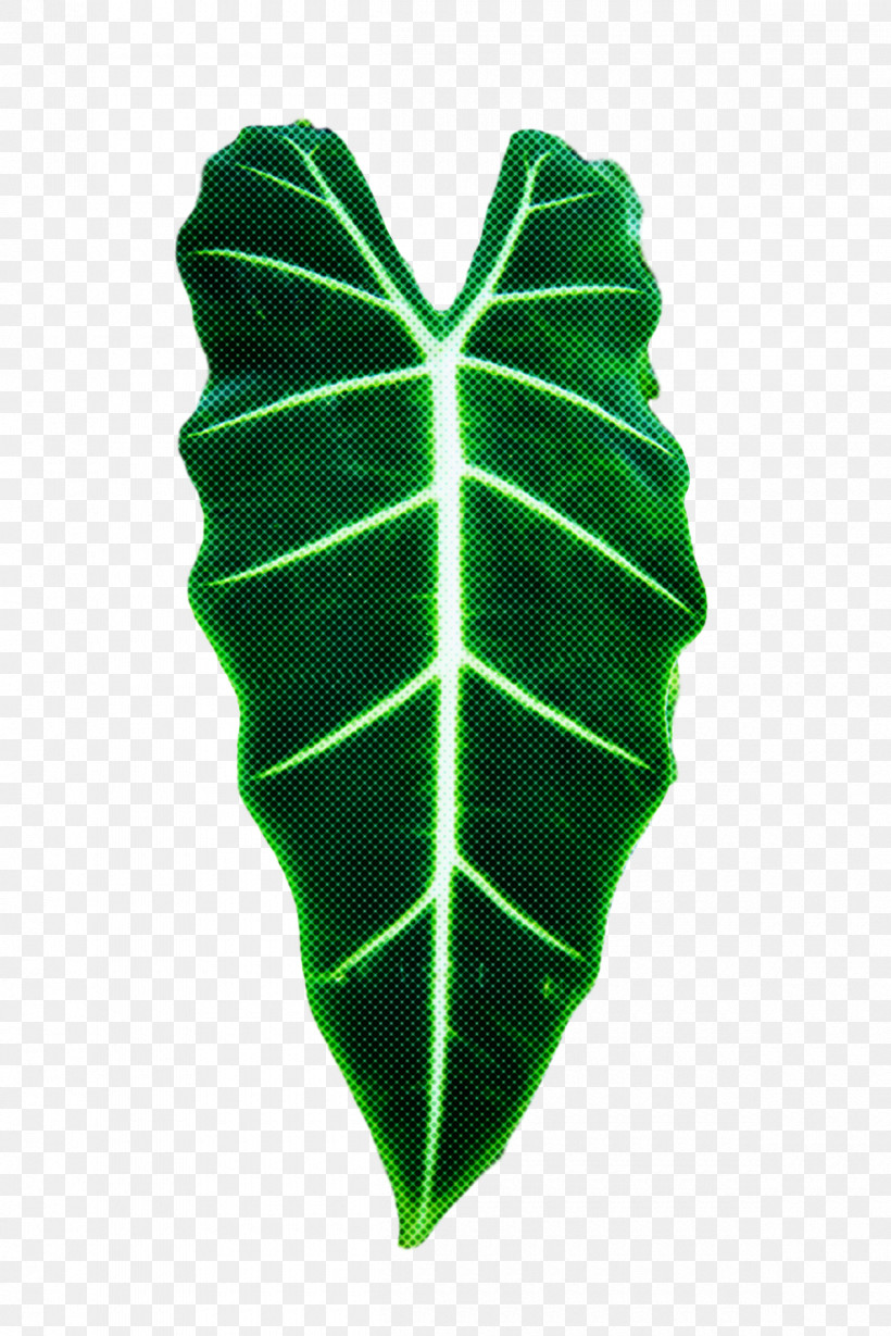 Leaf Green Plant Structure Science Biology, PNG, 1200x1799px, Leaf, Biology, Green, Plant Structure, Plants Download Free