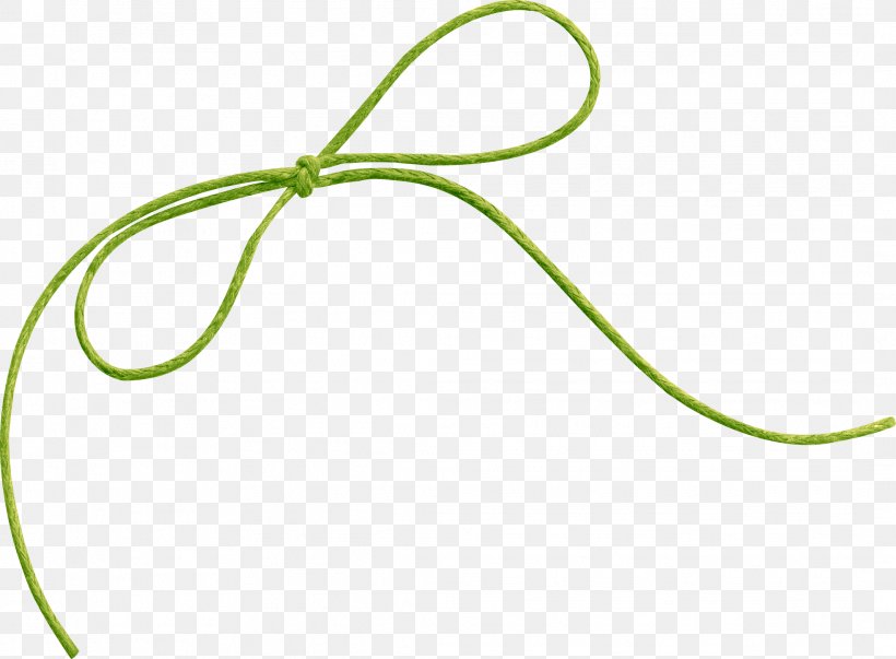 Leaf Plant Stem Font, PNG, 2133x1571px, Leaf, Grass, Green, Plant Stem Download Free