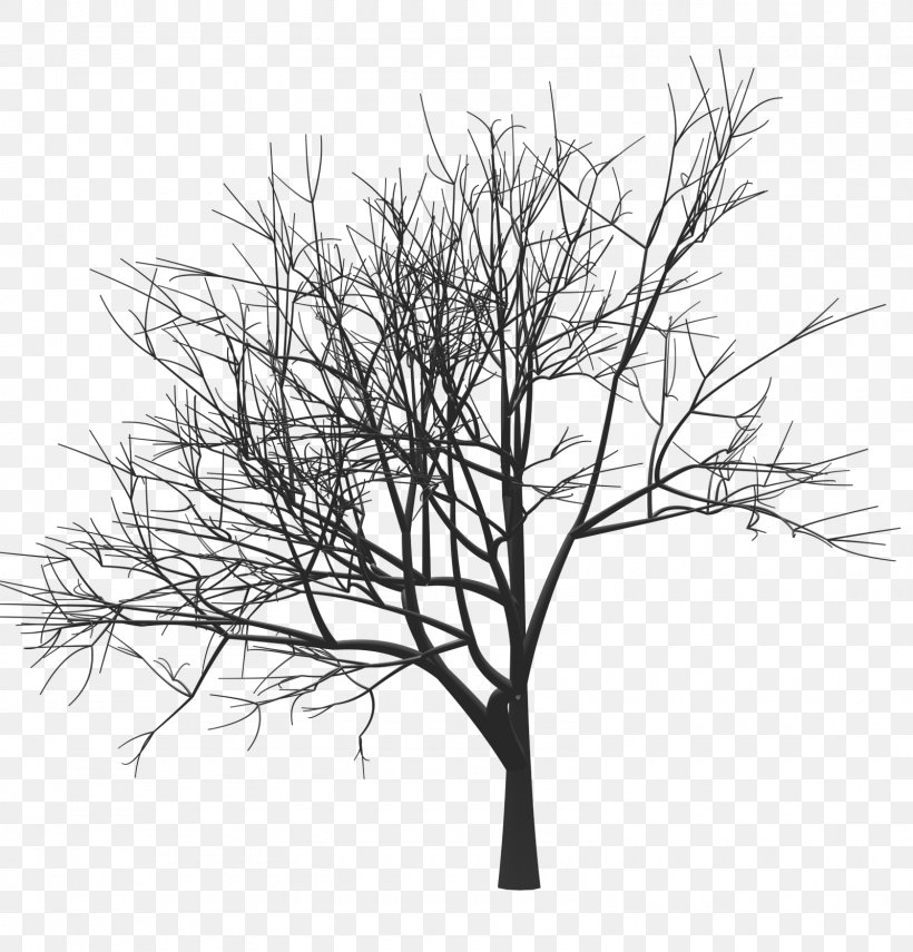 Tree Drawing Woody Plant Twig Monochrome, PNG, 1600x1669px, Tree, Animation, Black And White, Branch, Computer Graphics Download Free