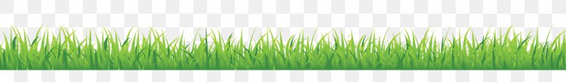Wheatgrass Leaf Plant Stem Line, PNG, 1920x282px, Wheatgrass, Grass, Grass Family, Green, Leaf Download Free