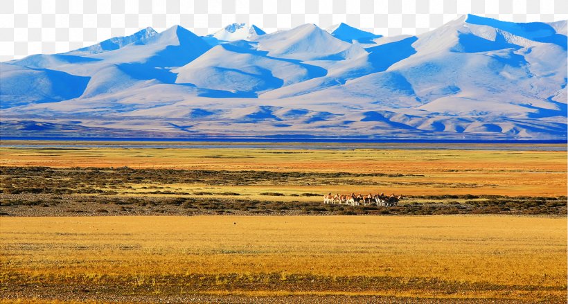 Nature Beauty Icon, PNG, 1197x642px, Grassland, Alibaba Cloud, Commodity, Ecoregion, Ecosystem Download Free