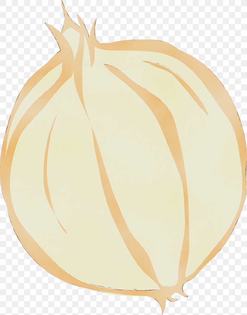 Onion Vegetable Yellow Onion Plant Allium, PNG, 1543x1969px, Watercolor, Allium, Amaryllis Family, Food, Onion Download Free