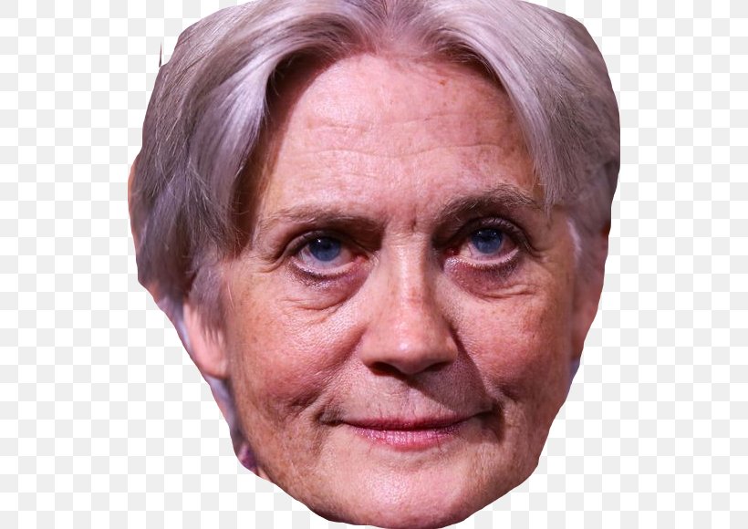 Penelope Fillon Politician Humour Satire Eyebrow, PNG, 540x580px, Watercolor, Cartoon, Flower, Frame, Heart Download Free