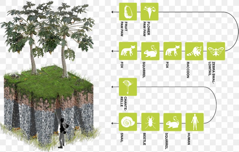 Anthropocene Natural Environment Architecture Ecology Quaternary, PNG, 850x543px, Anthropocene, Architecture, Art, Buckminster Fuller, Diagram Download Free