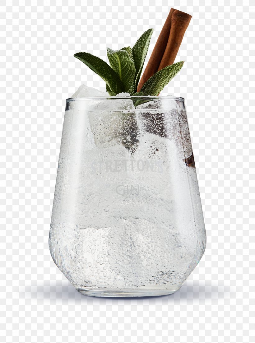 Gin And Tonic Tonic Water Cocktail Distilled Beverage, PNG, 3231x4349px, Gin And Tonic, Alcoholic Drink, Artifact, Cocktail, Distilled Beverage Download Free