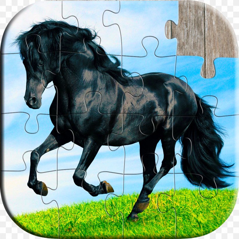 Horse Jigsaw Puzzles Game, PNG, 1024x1024px, Jigsaw Puzzles, Bridle, Grass, Horse, Horse Harness Download Free