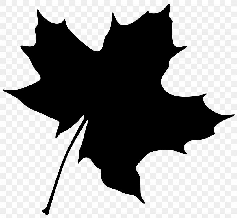 Vector Graphics Maple Leaf Clip Art Image, PNG, 4064x3745px, Maple Leaf, Autumn, Autumn Leaf Color, Blackandwhite, Drawing Download Free
