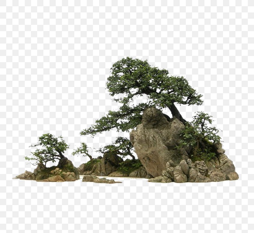 Bonsai 庭石 Rock Stone, PNG, 750x750px, 3d Computer Graphics, Bonsai, Garden, Houseplant, Landscape Download Free