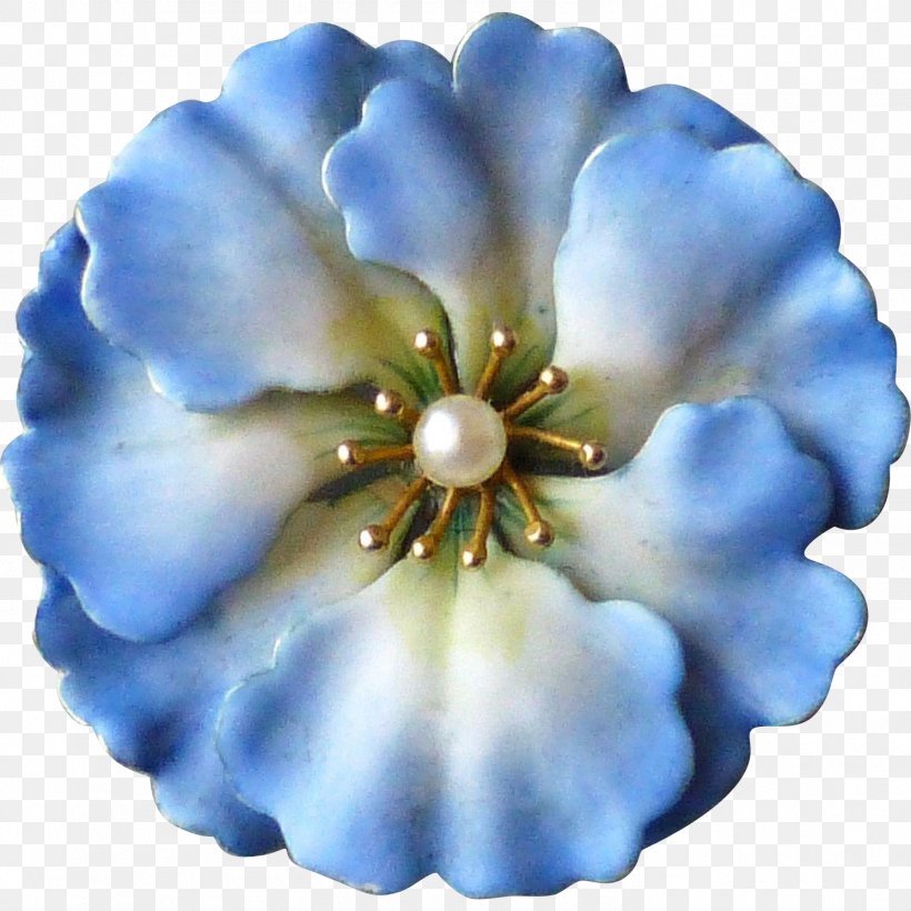 Cobalt Blue Flowering Plant Petal, PNG, 1491x1491px, Blue, Cobalt, Cobalt Blue, Flower, Flowering Plant Download Free