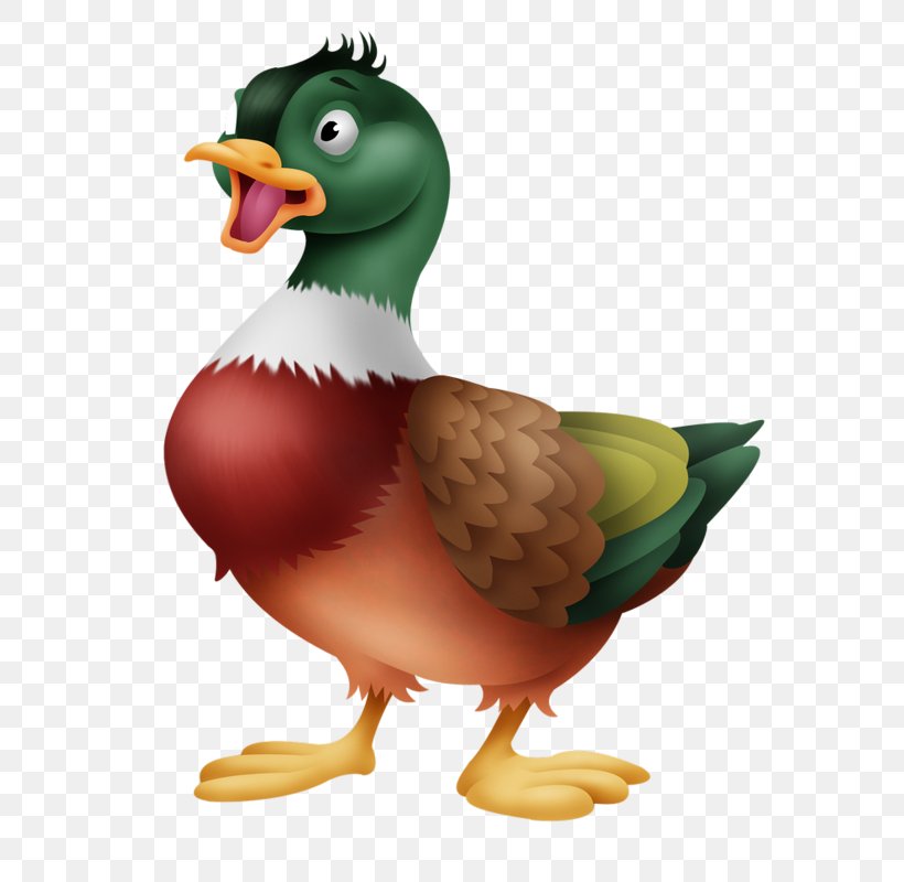 Duck Image Blog Illustration, PNG, 661x800px, Duck, Animal, Animated Cartoon, Beak, Bird Download Free