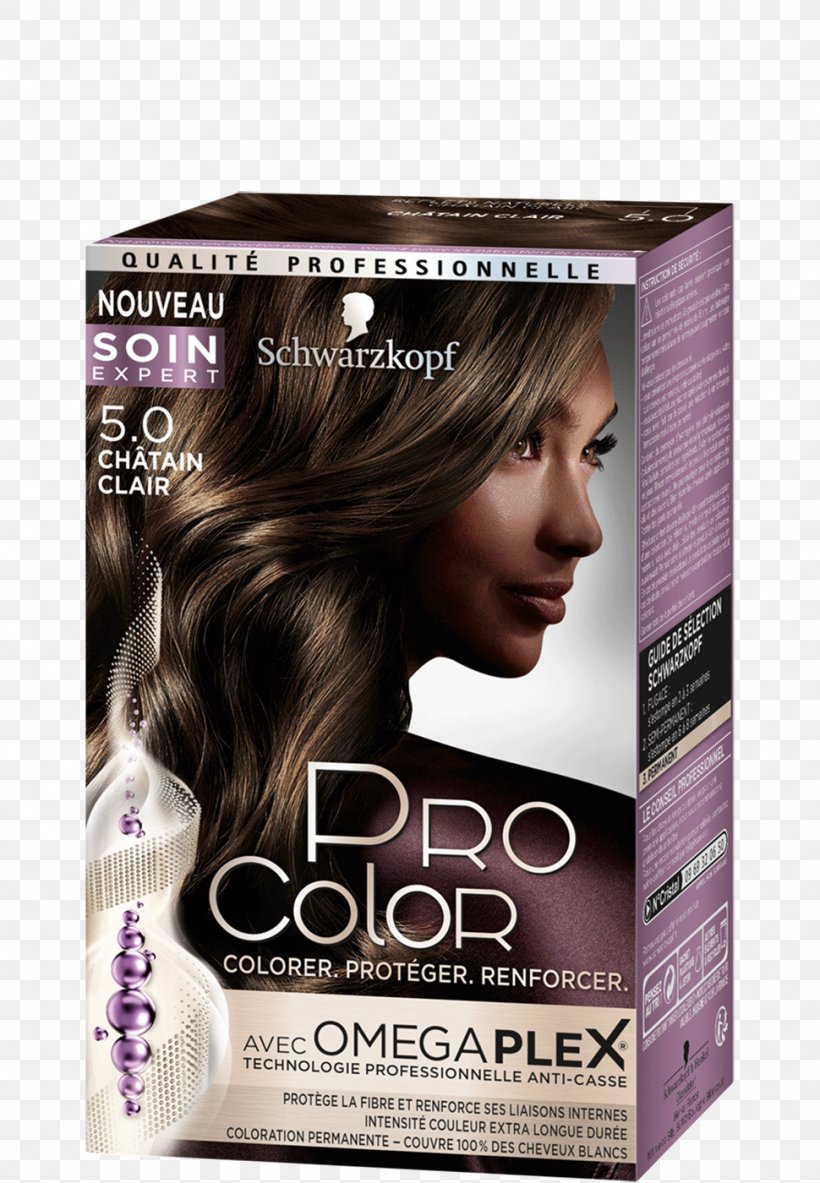 Hair Coloring Human Hair Color Blond Garnier, PNG, 970x1400px, Hair Coloring, Beauty, Black Hair, Blond, Brown Download Free