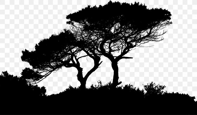 Landscape Silhouette Landscaping, PNG, 2400x1403px, Landscape, Art, Black And White, Branch, Dawn Download Free
