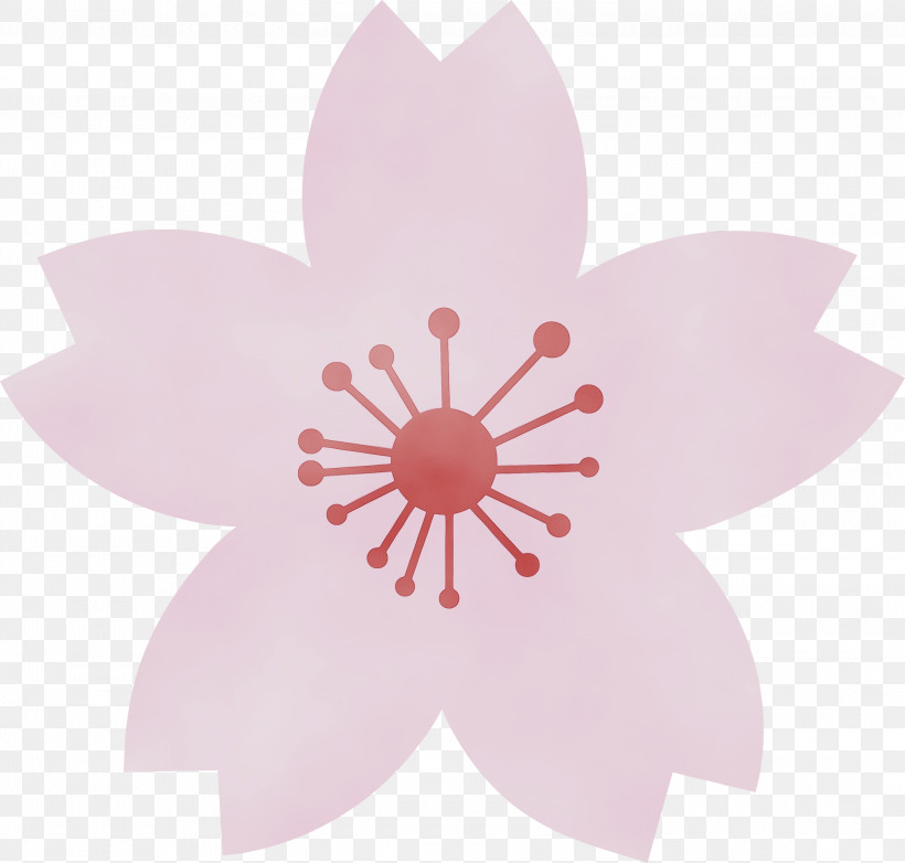 Petal Pink Flower Plant Wildflower, PNG, 3000x2861px, Cherry Flower, Floral, Flower, Lotus Family, Paint Download Free