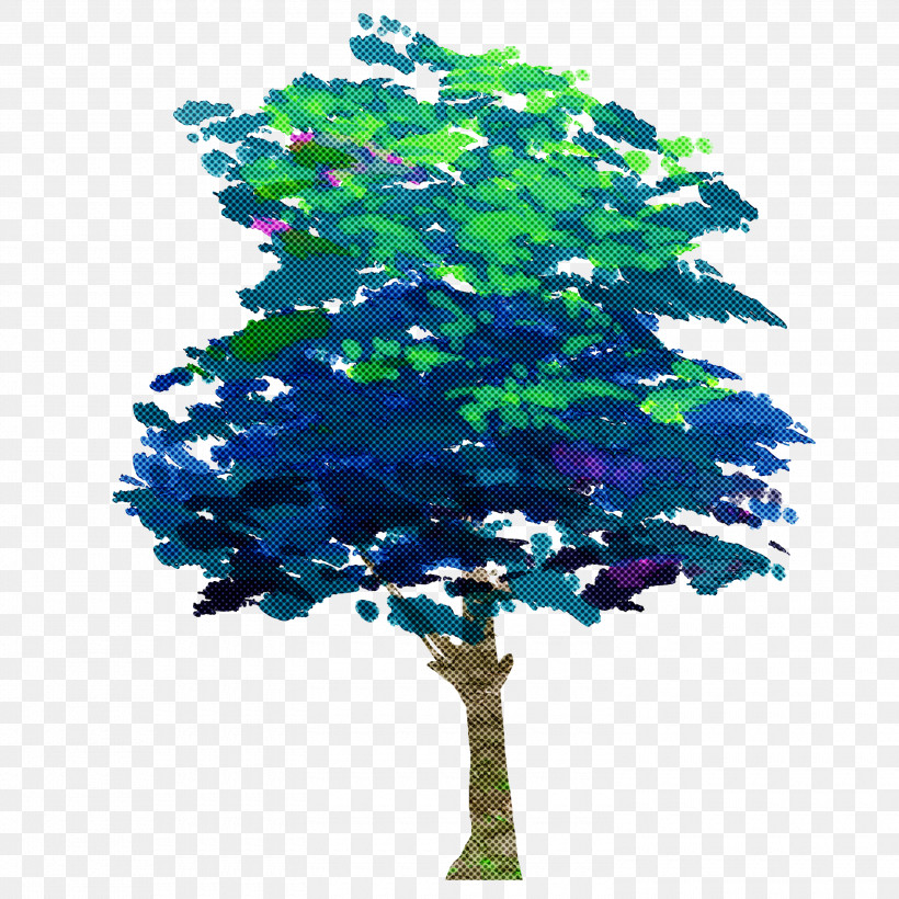 Arbor Day, PNG, 3000x3000px, Tree, Arbor Day, Electric Blue, Flower, Green Download Free
