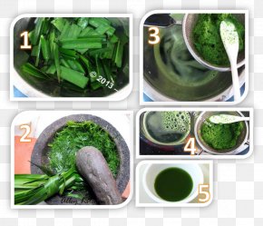 Leaf - Herb Dracaena Angustifolia Food Leaf PNG