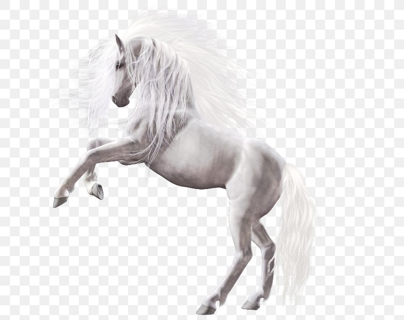 Horse Icon, PNG, 650x650px, Horse, Black And White, Computer Graphics, Fictional Character, Horse Like Mammal Download Free