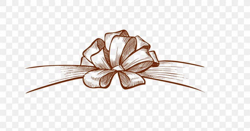 Shoelace Knot Flower Ribbon, PNG, 1088x571px, Shoelace Knot, Butterfly Loop, Fashion Accessory, Flower, Knot Download Free