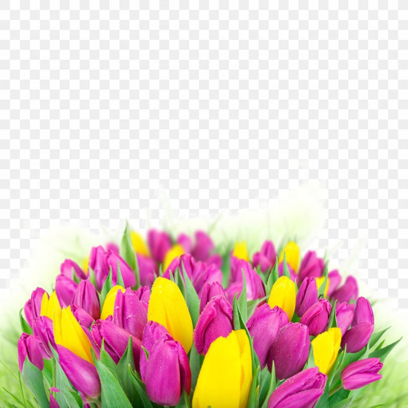 Tulip Flower Bouquet Wallpaper, PNG, 1100x1100px, 4k Resolution, Tulip, Color, Cut Flowers, Display Resolution Download Free