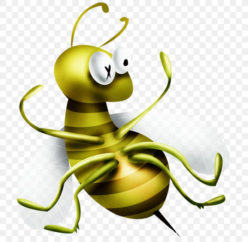Apidae Cartoon Bee Clip Art, PNG, 727x800px, Apidae, Animated Cartoon, Animation, Bee, Cartoon Download Free
