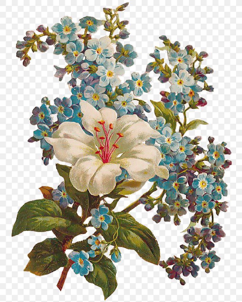 Flower Floral Design Clip Art, PNG, 774x1024px, Flower, Art, Blossom, Branch, Cut Flowers Download Free