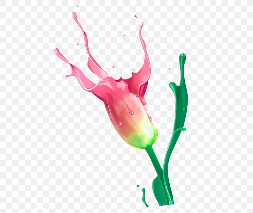 Graphics Nail Polish Clip Art Design, PNG, 506x692px, Nail Polish, Cosmetics, Flora, Flower, Flowering Plant Download Free