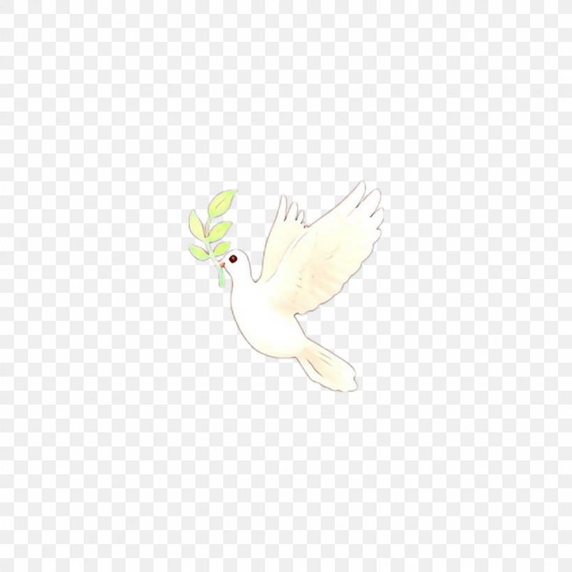 Bird Parrot, PNG, 1024x1024px, Beak, Bird, Bird Of Prey, Cartoon, Character Download Free