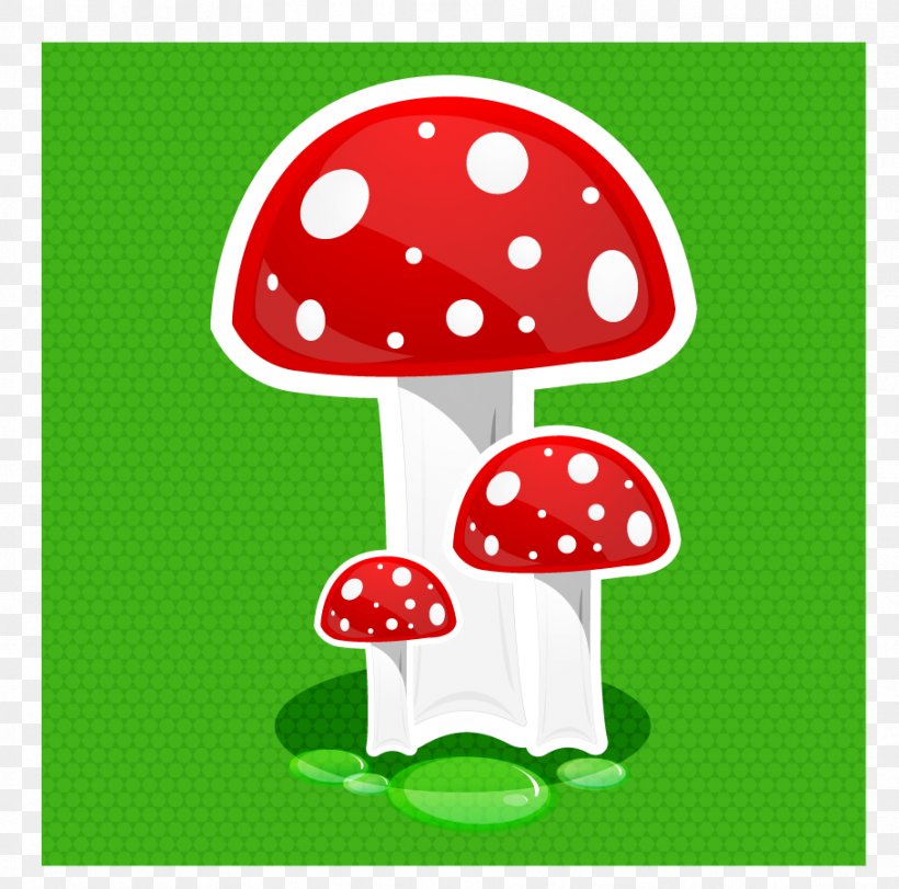Edible Mushroom Clip Art, PNG, 909x900px, Mushroom, Amanita Muscaria, Area, Boletus Edulis, Common Mushroom Download Free