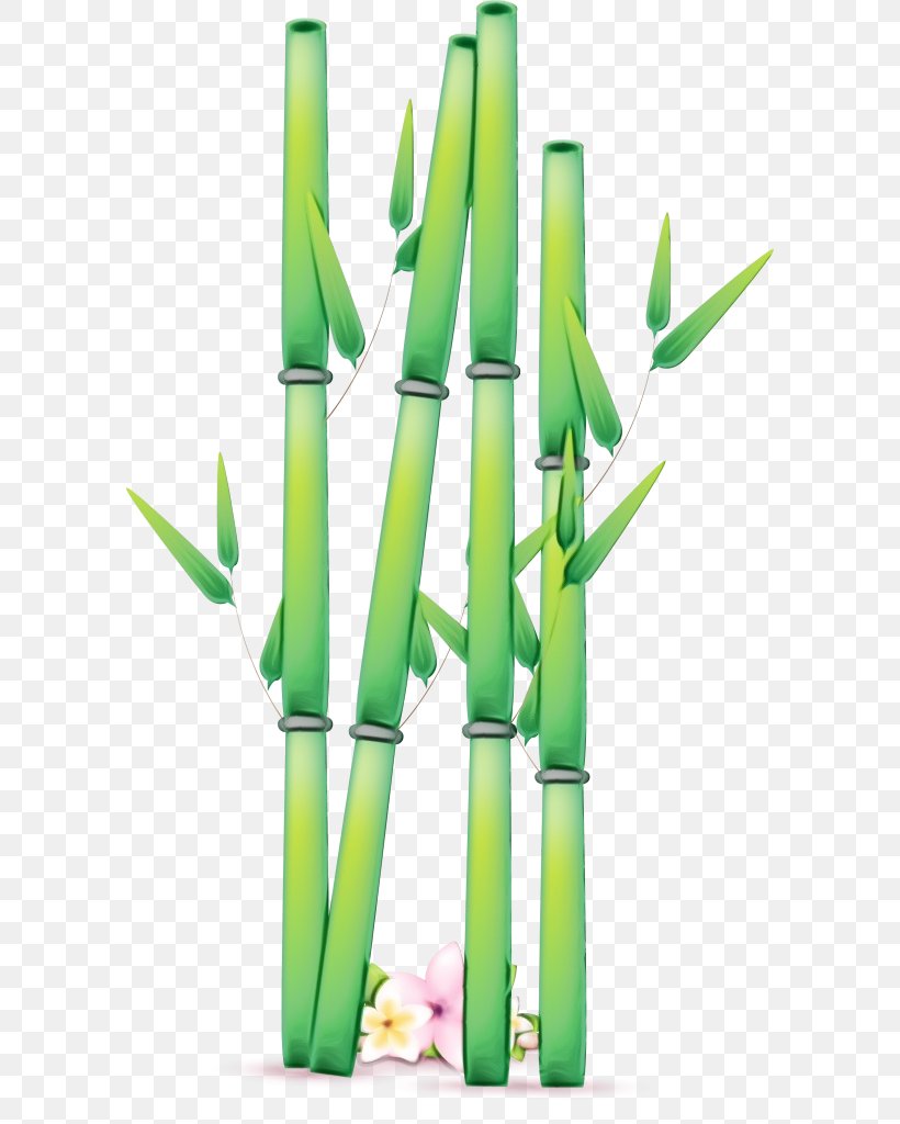 Green Grass Background, PNG, 590x1024px, Watercolor, Bamboo, Cartoon, Drawing, Giant Panda Download Free