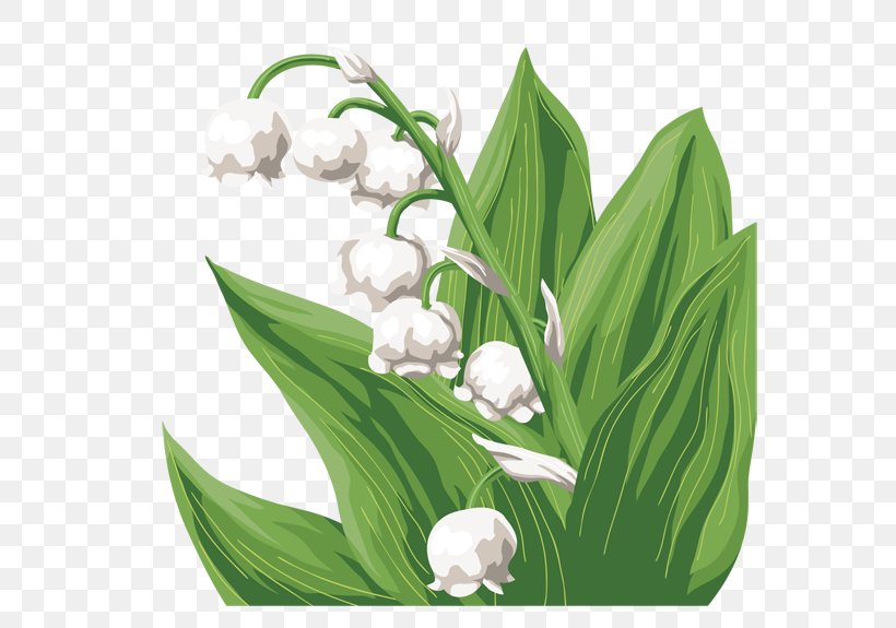 Lily Of The Valley Cut Flowers Flower Bouquet Floral Design, PNG, 595x575px, Lily Of The Valley, Birthday, Cut Flowers, Floral Design, Floristry Download Free