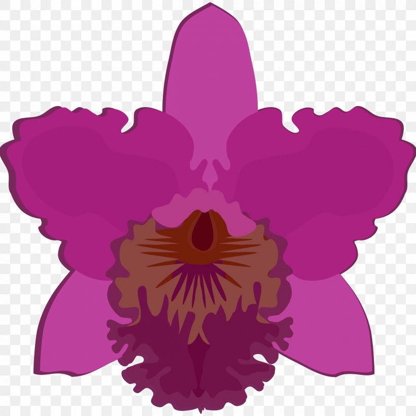 Clip Art Orchids Drawing Openclipart, PNG, 2400x2400px, Orchids, Art, Botanical Illustration, Cattleya, Cattleya Orchids Download Free