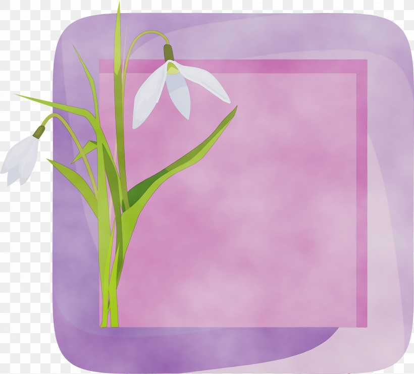 Lavender, PNG, 3000x2713px, Flower Photo Frame, Flower, Flower Frame, Lavender, Magenta Download Free