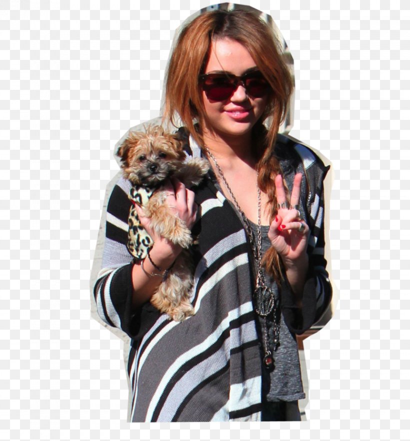 Morkie Yorkshire Terrier Maltese Dog Puppy Celebrity, PNG, 861x928px, Morkie, Celebrity, Diva, Dog, Dog Like Mammal Download Free