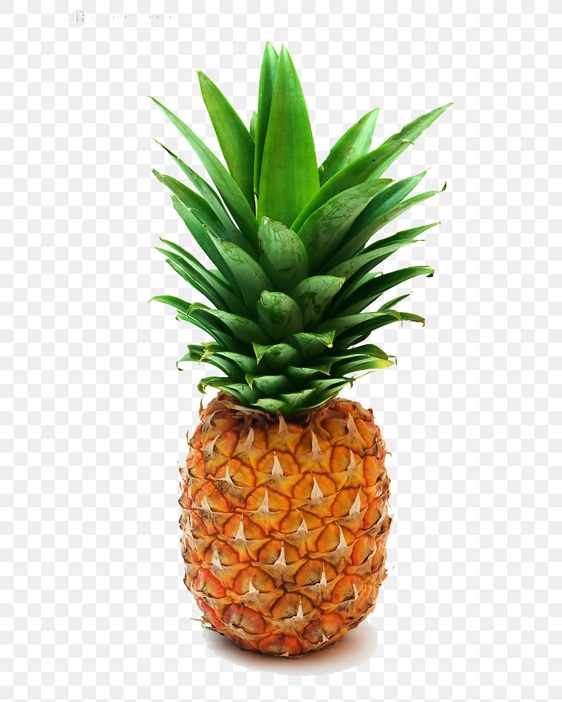 Pineapple Pizza Stock Photography Clip Art, PNG, 683x1024px, Pineapple, Ananas, Bromeliaceae, Dole Food Company, Flowerpot Download Free