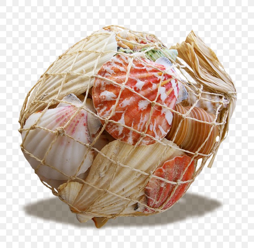 Seashell Seafood Blog, PNG, 800x800px, Seashell, Basket, Blog, Centerblog, Commodity Download Free