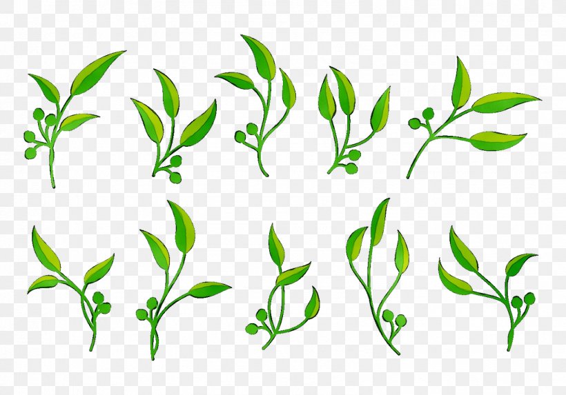 Twig Plant Stem Leaf Flower Clip Art, PNG, 1596x1117px, Twig, Botany, Flower, Grass, Green Download Free