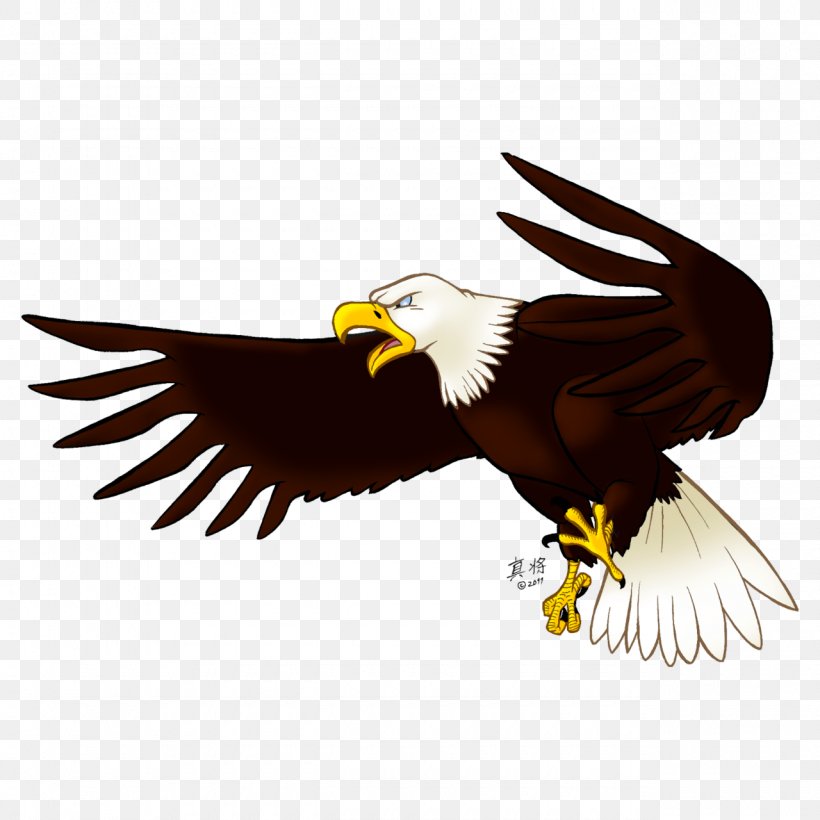 Bald Eagle Bird Clip Art, PNG, 1280x1280px, Bald Eagle, Accipitriformes, Animation, Beak, Bird Download Free