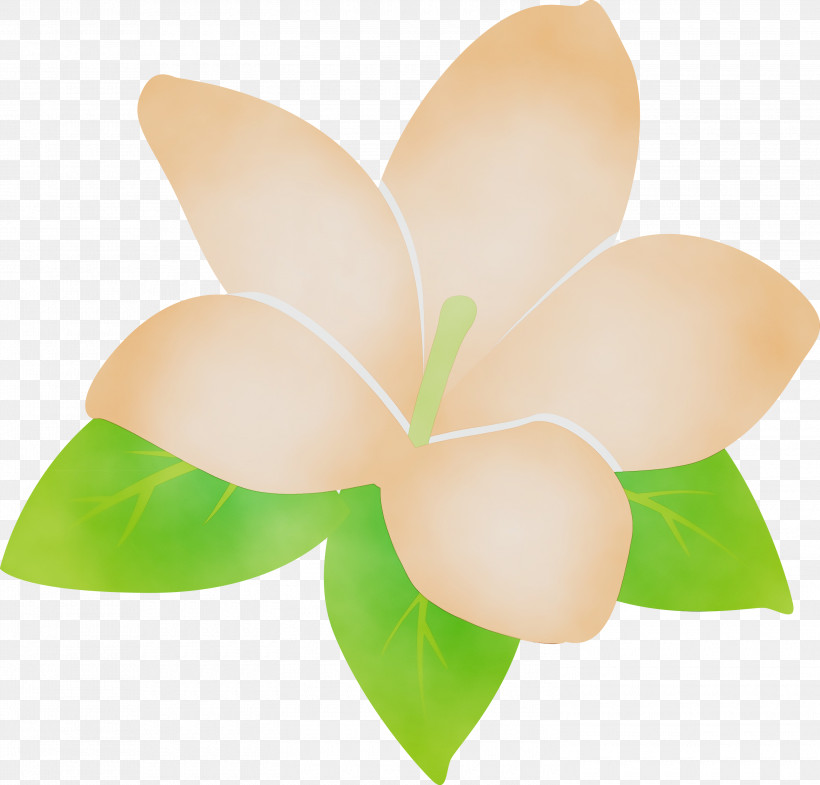 Cut Flowers Flower Petal, PNG, 3000x2875px, Jasmine, Cut Flowers, Flower, Jasmine Flower, Paint Download Free