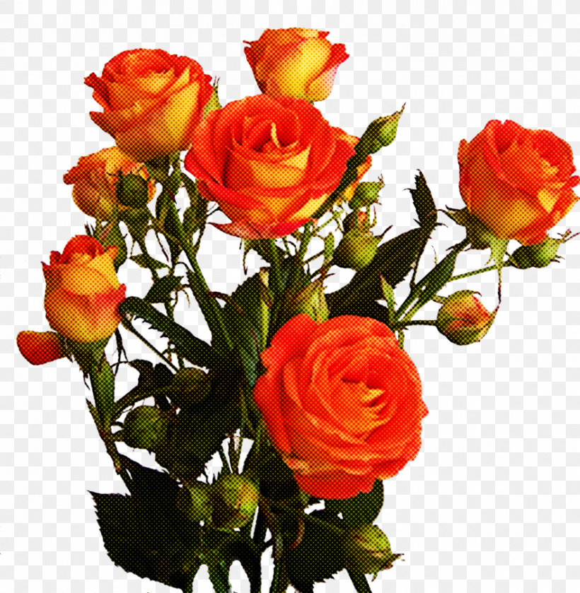 Garden Roses, PNG, 883x904px, Flower, Artificial Flower, Bouquet, Bud, Cut Flowers Download Free