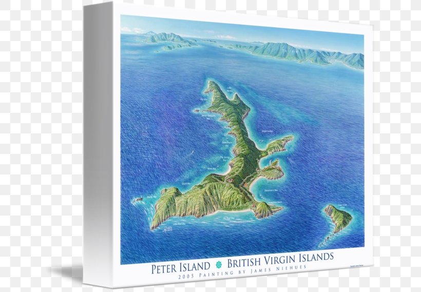 Peter Island Gallery Wrap Marine Mammal Canvas Art, PNG, 650x569px, Gallery Wrap, Aqua, Art, British Virgin Islands, Canvas Download Free