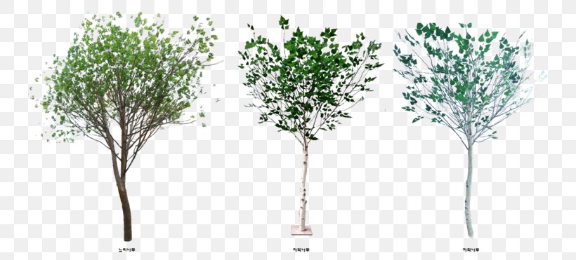 Adobe Photoshop Tree Shrub Sauce, PNG, 740x371px, Tree, Blog, Branch, Canoe Birch, Flower Download Free