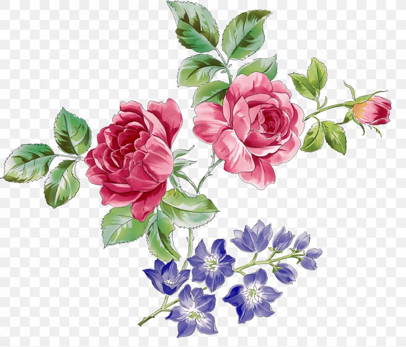 Rosa Chinensis Beach Rose Flower Clip Art, PNG, 1200x1027px, Rosa Chinensis, Artificial Flower, Beach Rose, Color, Cut Flowers Download Free