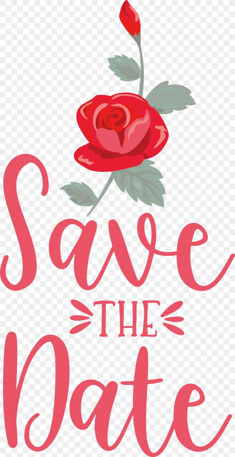 Save The Date Wedding, PNG, 1543x2999px, Save The Date, Cut Flowers, Floral Design, Flower, Garden Roses Download Free