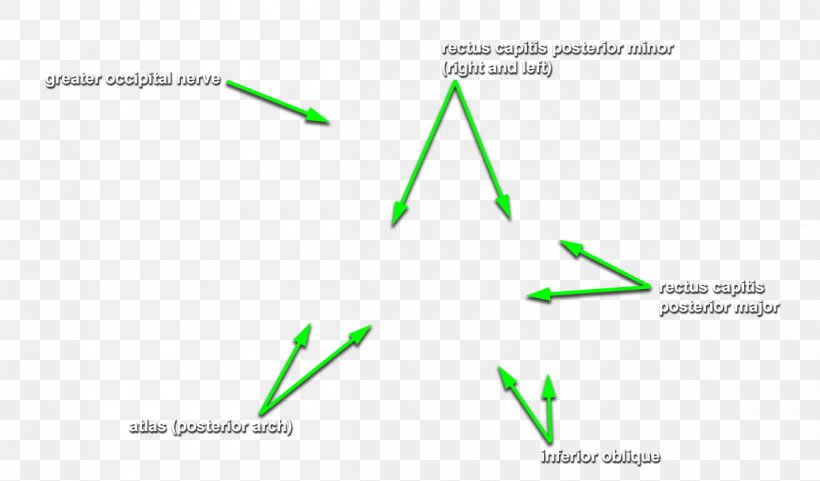 Triangle Brand, PNG, 1200x704px, Triangle, Brand, Diagram, Grass, Green Download Free