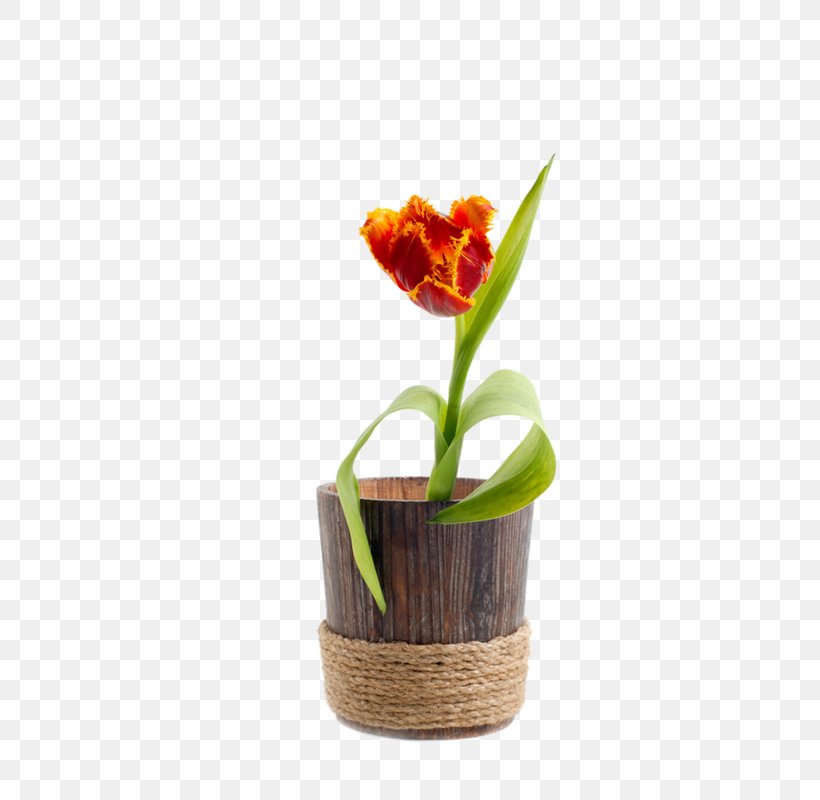 Tulip Flowerpot Wood, PNG, 715x800px, 2017, Tulip, Bathtub, Container, Crock Download Free