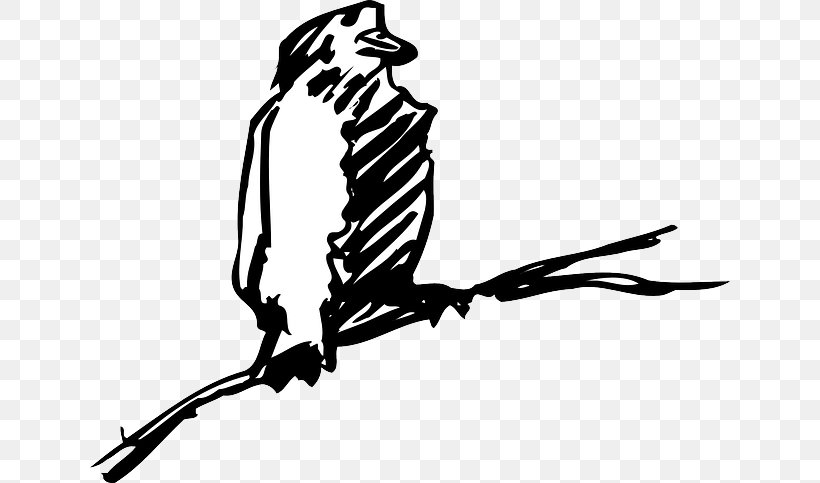 Bird Beak Drawing Clip Art, PNG, 640x483px, Watercolor, Cartoon, Flower, Frame, Heart Download Free